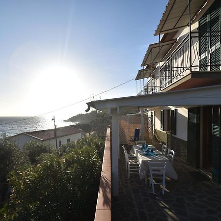Appartamenti Cavoli - Vista Mare Con Terrazze, Clima E Posti Auto Spiaggia di Cavoli Ngoại thất bức ảnh